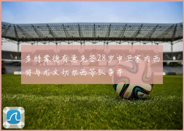多特蒙德有意免签28岁中卫塞内西将与尤文切尔西等队争夺