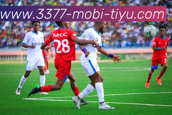 3377体育发展历程